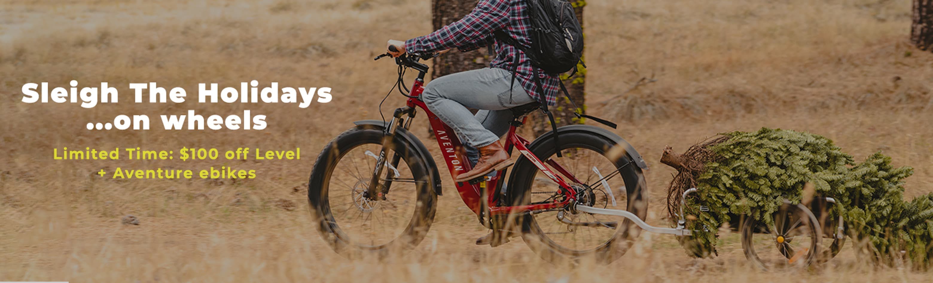 Electric Bikes