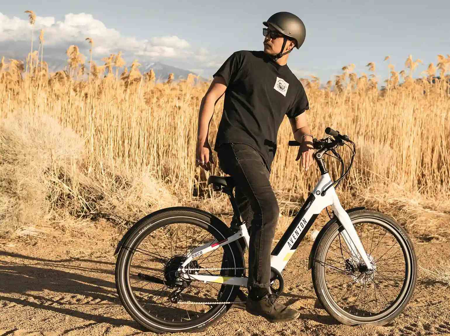 Aventon Pace 500.2 affordable ebike